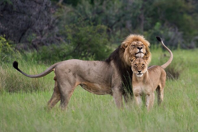 07-Days Murchison Falls, Queen Elizabeth & Gorillas Safari - Price and Value: What You’re Actually Paying For