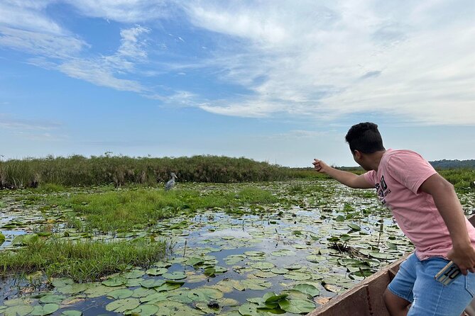 1/2 Mabamba Swamp Shoebill Tour - Itinerary rhythm: arrival, boat time, and the rest of the day