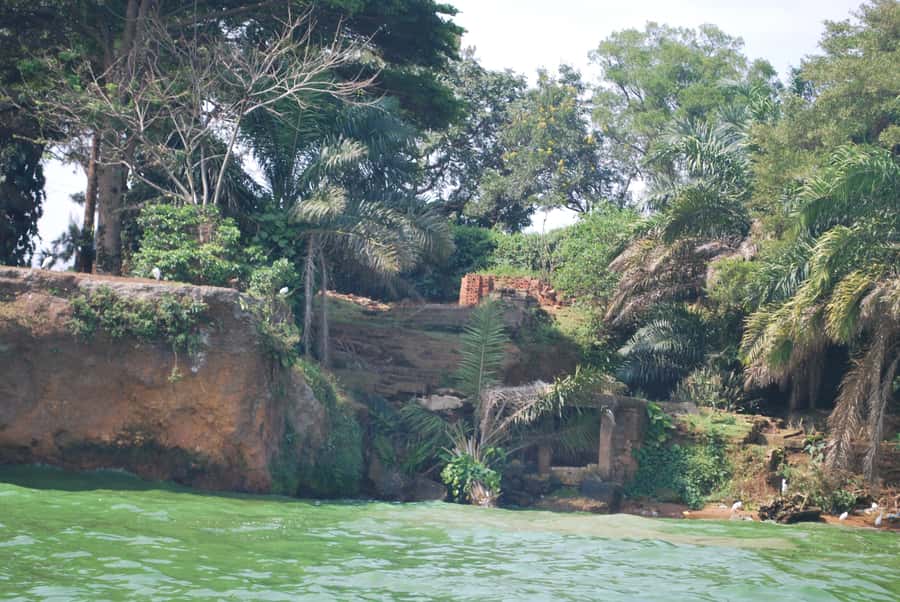 1-Day Best of Entebbe City Guided Walking Tour - Key highlights you will actually feel