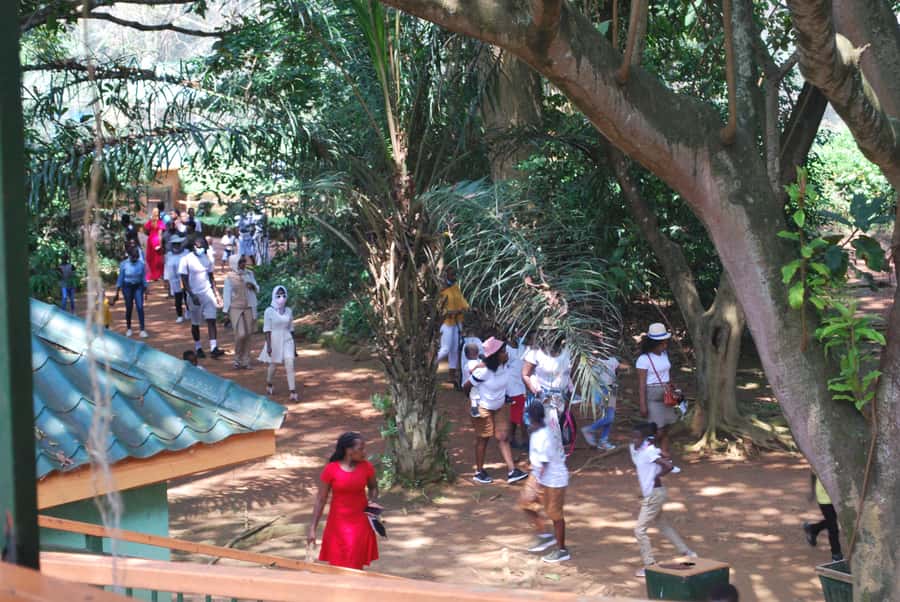 1-Day Best of Entebbe City Guided Walking Tour - Rolex snack stop: street food you can taste and explain