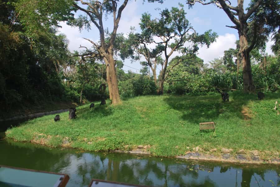 1-Day Best of Entebbe City Guided Walking Tour - Muzinga Square, parks, and the colonial-era sights you will recognize