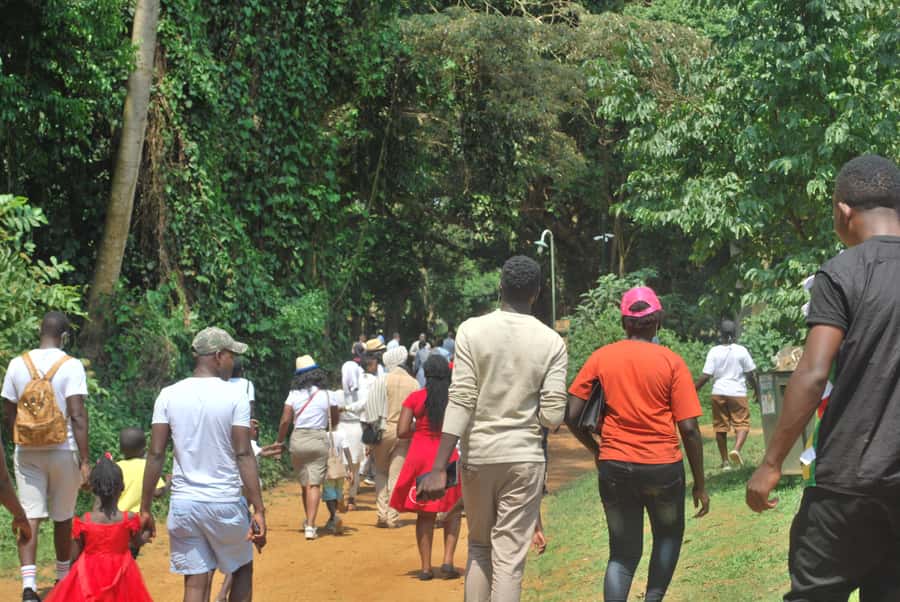 1-Day Best of Entebbe City Guided Walking Tour - Nambi fish market: where Entebbe smells like the lake