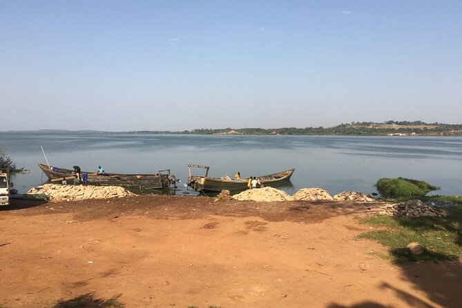 1 Day chimpanzee trekking at Ngamba Island - The boat ride across Lake Victoria is part of the value