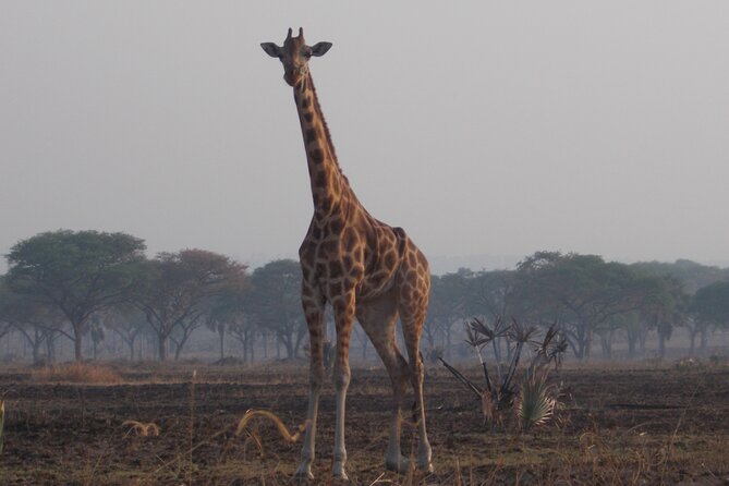 1 Day Lake Mburo Wildlife Safari - Birding by Lake Mburo’s water and vegetation cover