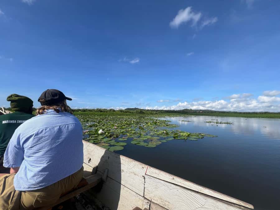 1-Day Mabamba Shoebill Birding Tour in Lake Victoria Entebbe - What You’ll See Besides the Shoebill (And Why That Matters)
