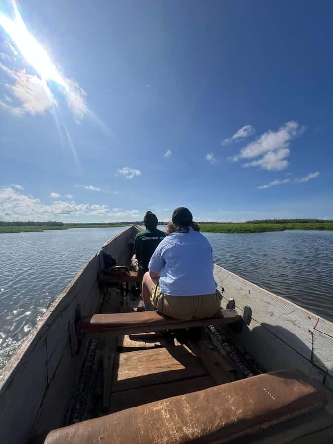 1-Day Mabamba Shoebill Birding Tour in Lake Victoria Entebbe - What to Bring (So Your Photos and Bird Lists Actually Work)
