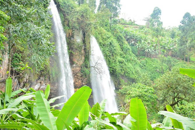 1 Day Sipi falls hike - Guides like William, Juma, Simon, and Ezekiel change the feel