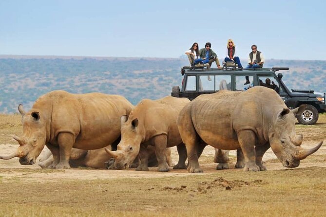 10-Day African Safari in Uganda from Kampala - Murchison Falls: Lions, Nile Crocs, and a Boat Safari That Changes Everything