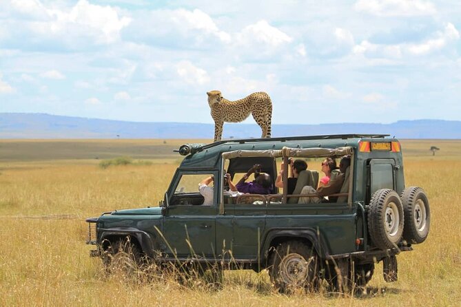 10-Day African Safari in Uganda from Kampala - The Pace and Logistics: Long Drives, Private Comfort, and What to Watch