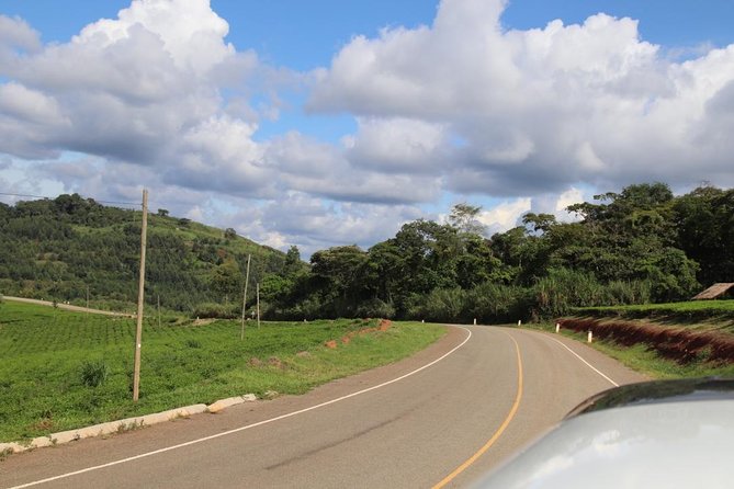 10 Day Western Uganda Budget Wildlife Safari - Day 6: Queen Elizabeth to Bwindi, with a Kalinzu chimp option