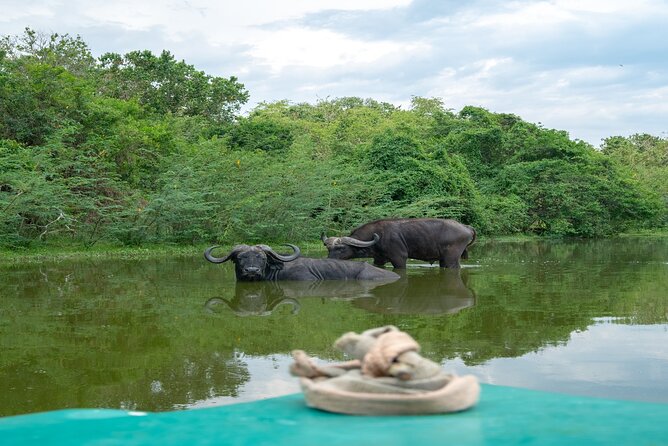 10 Days Affordable Gorilla Trekking Holiday - Entering Entebbe and getting your bearings