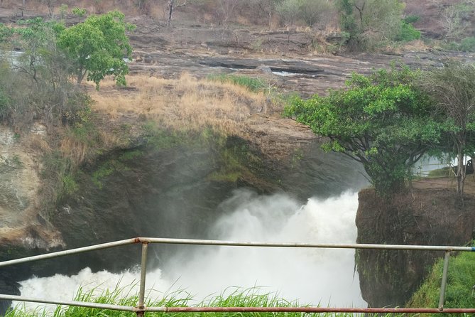 10 Days Uganda Gorilla & Chimpanzee Trekking Safari - Day 3 in Murchison Falls: game drive trails plus the bottom-of-the-falls boat cruise