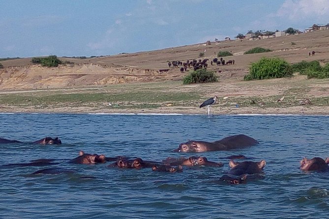 11 Days Uganda +Gorillas - Lake Bunyonyi: a calmer finish after trekking intensity