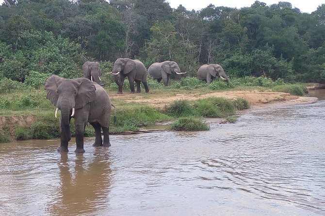 11 Days Uganda +Gorillas - Price and what you get for $4,500 per person