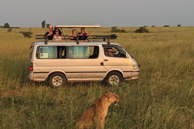12-Day Moderately Priced Pearl of Africa - Uganda Private Safari - Starting in Kampala or Entebbe, with a bird-first Uganda day