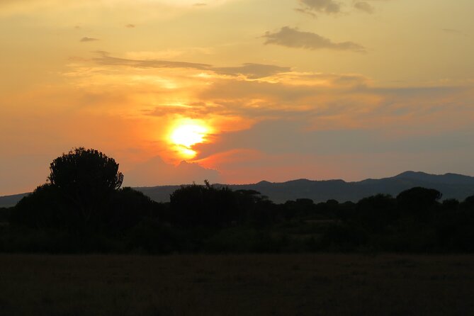 12-Day Moderately Priced Pearl of Africa - Uganda Private Safari - Kibale Forest primates: chimp tracking plus Bigodi wetlands