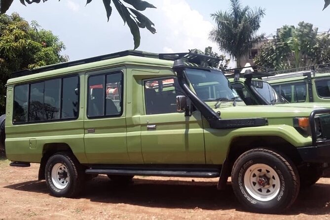 12-Day Moderately Priced Pearl of Africa - Uganda Private Safari - Ziwa Rhino on foot, then Murchison Falls power in one day