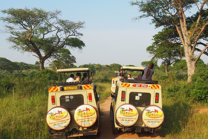 13-Day Wildlife Adventure Trip to the Pearl of Africa - Queen Elizabeth National Park: Crater Drives, Lion Tracking, and the Kazinga Channel Payoff