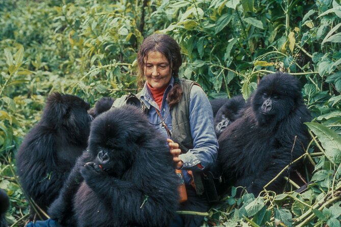 13 Days Wildlife Adventure Trip To The Pearl Of Africa - Entering the Pearl of Africa loop: from Entebbe to Lake Mburo