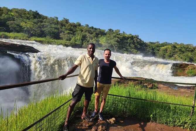 13 Days Wildlife Adventure Trip To The Pearl Of Africa - Ishasha tree-climbing lions: exciting odds, but plan for uncertainty