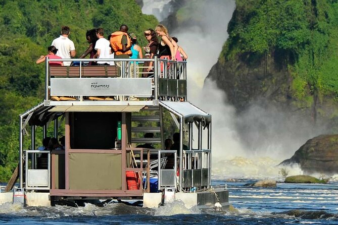 13 Days Wildlife Adventure Trip To The Pearl Of Africa - Bwindi gorilla trekking: the day you plan your energy for
