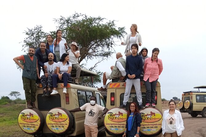 15-Day Gorilla and chimps Trekking, Big 5 and Nature Sighting Safari - Ishasha tree-climbing lions and the art of not panicking