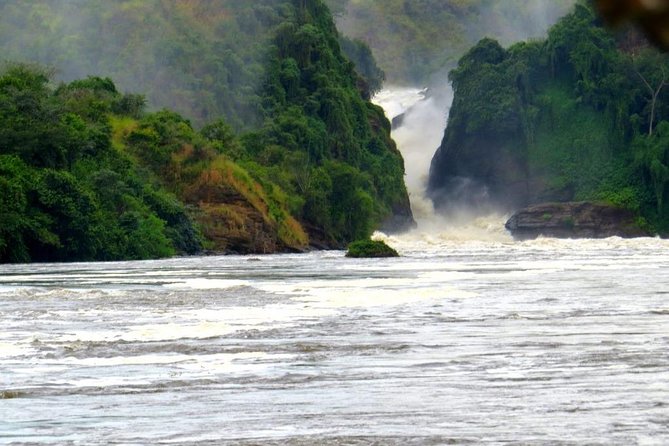 15 Day Gorillas, Chimps and Big 5 Safari Tour - Why This Uganda Safari Makes Sense for Real Wildlife Lovers