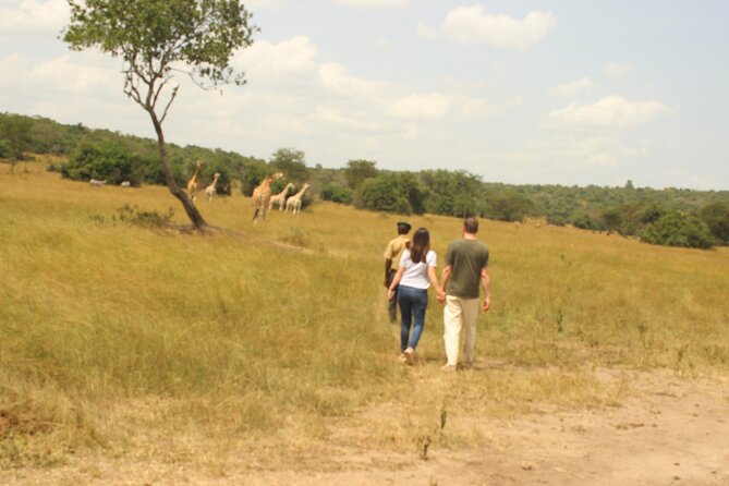 2 Day Lake Mburo National park wildlife Safari - Lunch by the Lake and the Boat Cruise for Hippos and Crocodiles