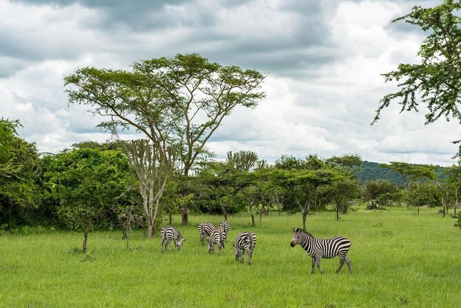 2-Day Wildlife Safari in Lake Mburo National Park - Key things to know before you go