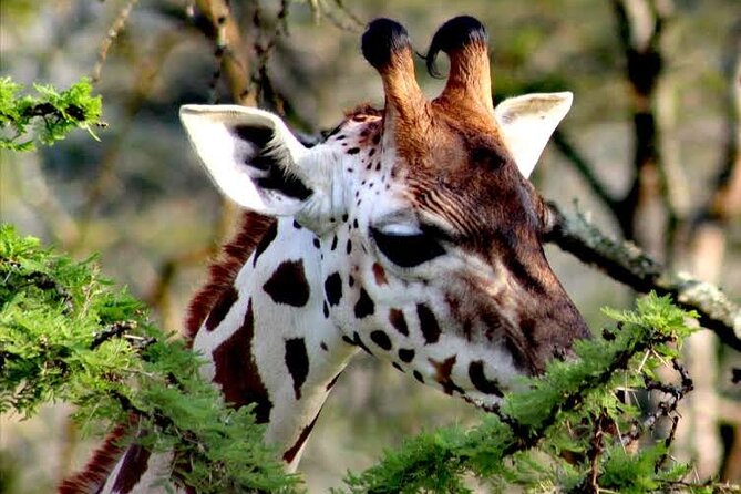 2-Day Wildlife Safari in Lake Mburo National Park - The Uganda Equator stop near Masaka Road: a quick photo and a real talking point