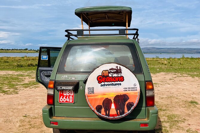 2 Days Budget Safari to Murchison Falls National Park - Day 2: Dawn on the Tracks, Queen and Albert, then the Falls Up Close