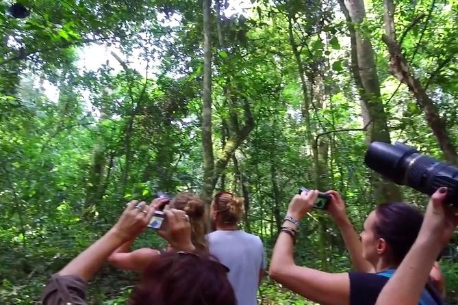2 Days Chimpazee Safari In kibale Forest Park Uganda. - Private Guide Benefits: Getting Better Help Where It Counts