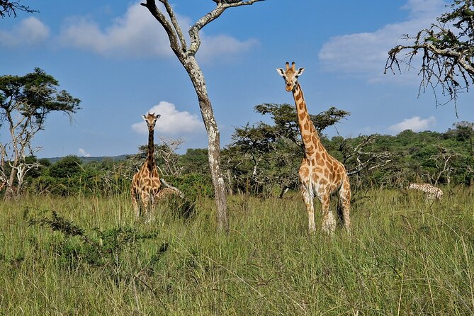 2 Days Cycling Safari To Lake Mburo National Park - Lake Mburo by bike: why this safari format works