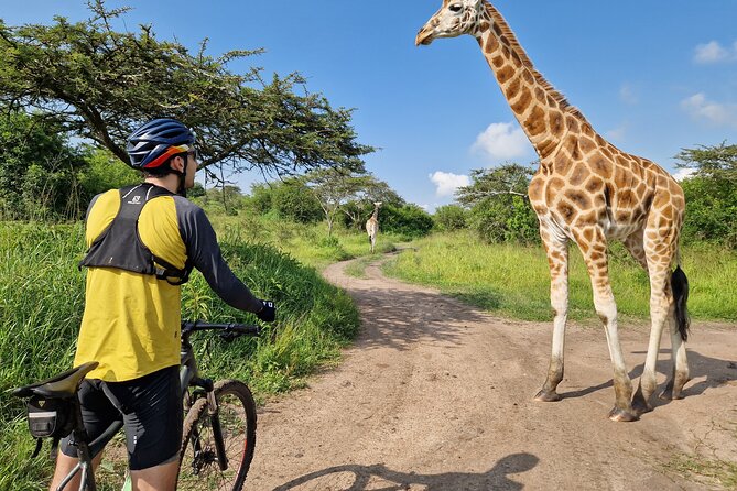 2 Days Cycling Safari To Lake Mburo National Park - Day 1 in practice: arrival, first guided ride, and planning for evening wildlife