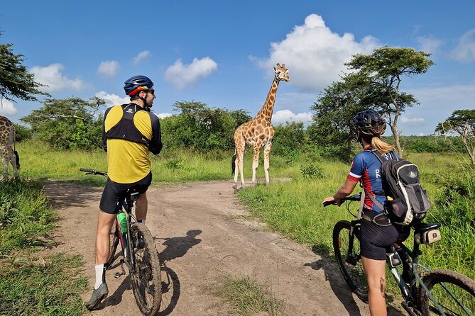 2 Days Cycling Safari To Lake Mburo National Park - Day 2 ride deeper, then back to Kampala