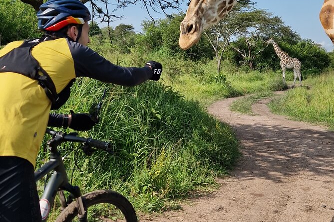 2 Days Cycling Safari To Lake Mburo National Park - Wildlife you might spot, and how to actually enjoy the sightings