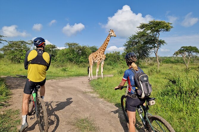 2 Days Cycling Safari To Lake Mburo National Park - Bikes, helmets, and riding effort: what to expect if you’re new