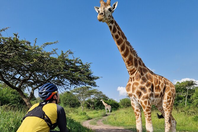 2 Days Cycling Safari To Lake Mburo National Park - Comfort, support, and the human side of the trip