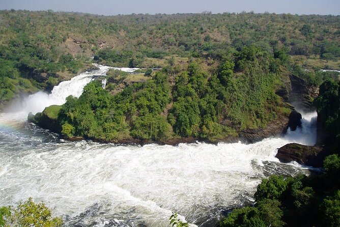 2 Days Murchison Falls Park Vacation - Key highlights worth knowing before you go