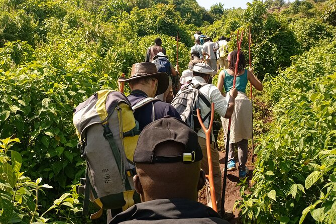 2 Days Sipi Falls Hike and Coffee Tour - Included Meals and One Night in Sipi: Why This Package Feels Less Stressful