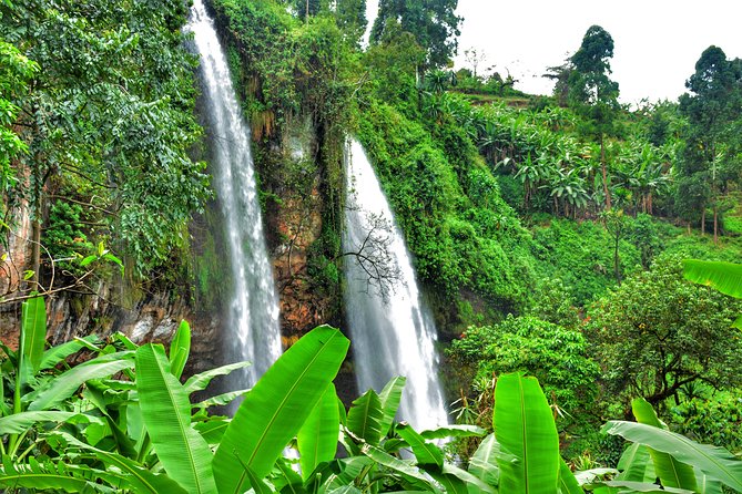 2 Sipi Falls hike and Coffee Tour Experience - Day 1: First hike to Sipi Falls plus Mbale culture