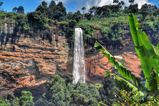 2 Sipi Falls hike and Coffee Tour Experience - Price and logistics: what is included in the $40