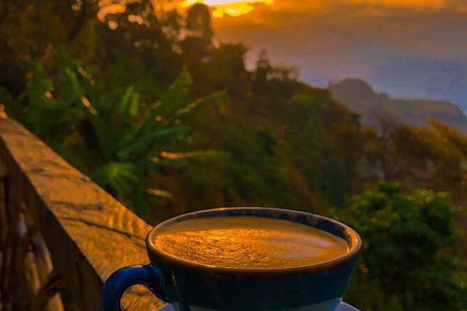 25 day uganda Rwanda kenya and Tanzania safari Zanzibar inclusive - Crossing into Rwanda for Volcanoes gorillas and golden monkeys