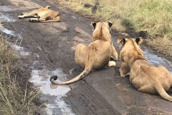 25 day uganda Rwanda kenya and Tanzania safari Zanzibar inclusive - Amboseli to Lake Nakuru, Kilimanjaro views and flamingo lines