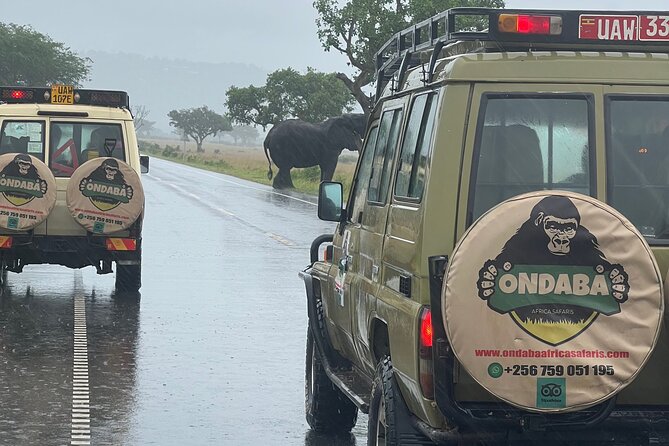 2Days Murchison Falls NP Safari - The Top of Murchison Falls: The Famous View You Want Photos For