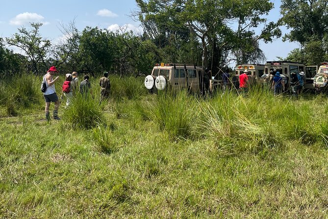2Days Murchison Falls NP Safari - Day 1 Nile Boat Cruise: Where Crocodiles and Hippos Are the Point
