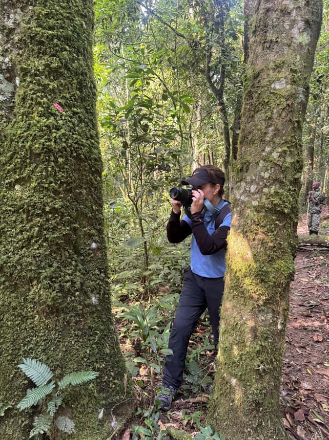 3-Day Gorilla Experience In Uganda - What makes the gorilla experience feel “worth it”