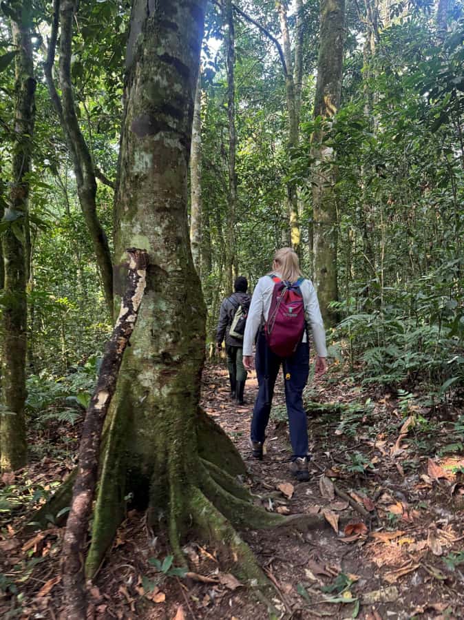 3-Day Gorilla Experience In Uganda - Packing list that actually matters for gorillas and a rain-prone forest