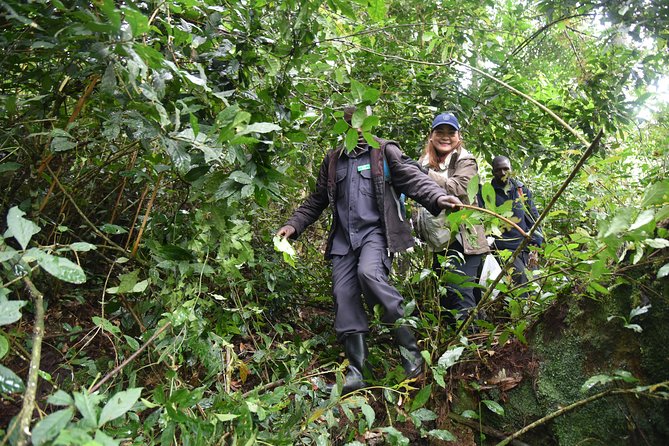 3-Day Gorilla Trekking safari in Bwindi Impenetrable Forest - Vehicle comfort and the role of guides like Sperito and Tyson