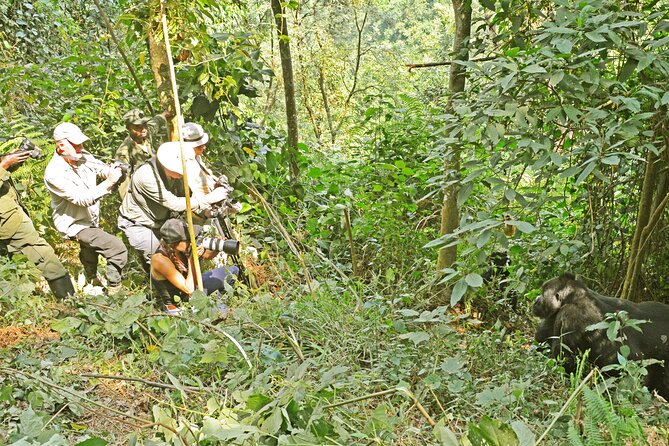 3 Day Guided Gorilla Tracking Safari At Bwindi National Park - Price and value at $2,320 per person: what you are really paying for